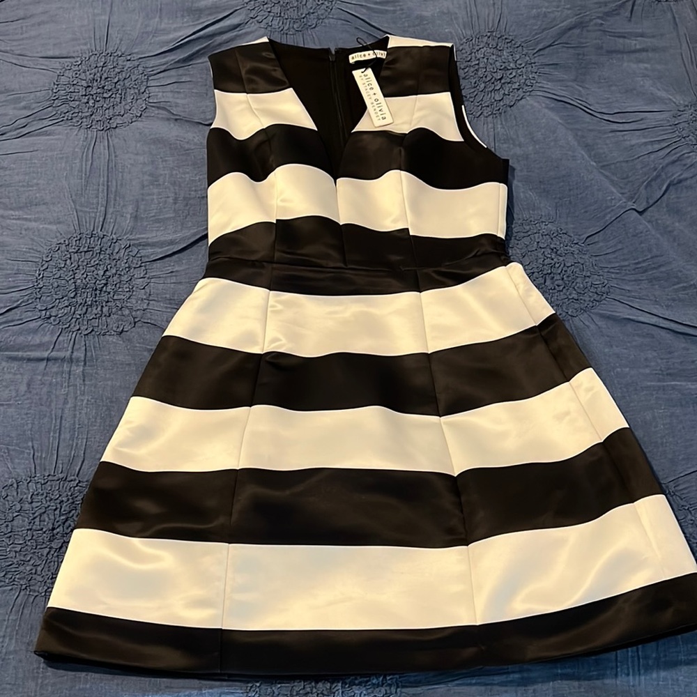 Alice and Olivia Cocktail Dress
